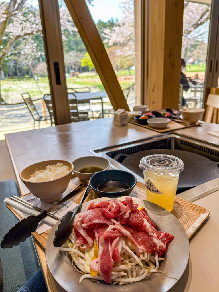 千本松牧場のレストランで提供されたジンギスカンランチと桜の景色|那須の子連れ旅行で訪れた春の人気スポット
